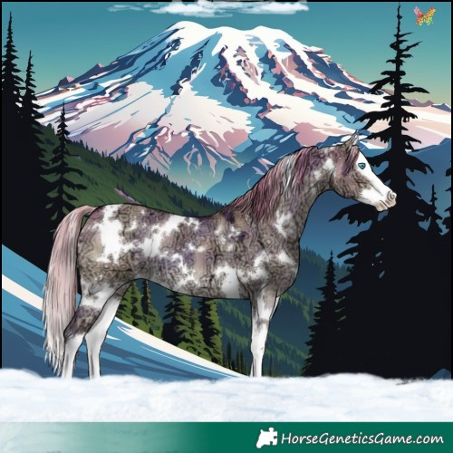 Horse Color:Plaid  White Spotted Liver Red Dun Ice Splash 