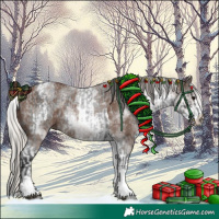 Horse Color:White Spotted Blue Roan and White Spotted Silver Black Tobiano