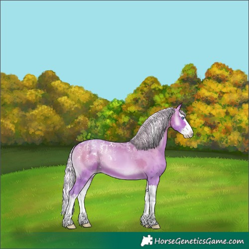 Horse Color:Powder White Watercolor Silver Brown Pearl Onyx Merle Splash 