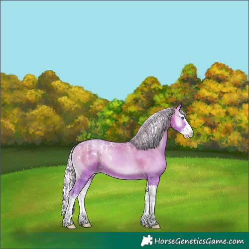 Horse Color:Powder White Watercolor Silver Brown Pearl Onyx Merle Splash 