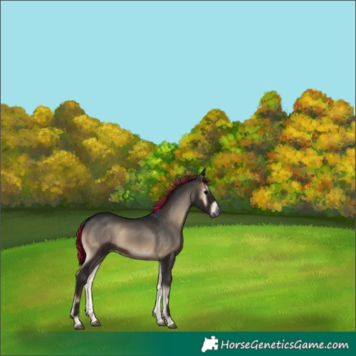 Horse Color:Gray Painted Blue Onyx Merle 