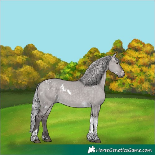 Horse Color:Platinum White Spotted Silver Brown Dun Tobiano Rabicano 