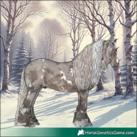 Horse Color:White Spotted Silver Black Merle 