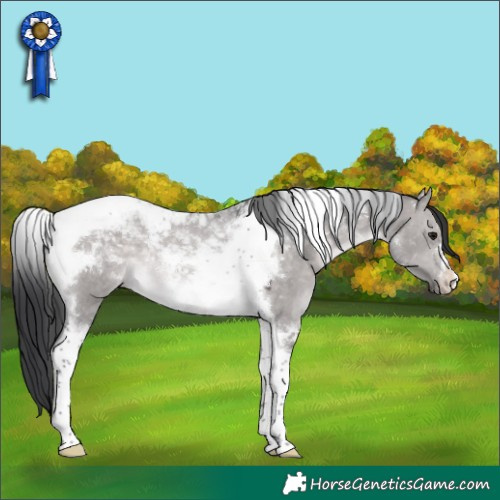 Horse Color:Platinum Brown Dun Tobiano Rabicano 