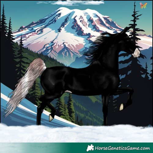 Horse Color:Watercolor Plaid  White Spotted Liver Red Onyx Ice Splash 