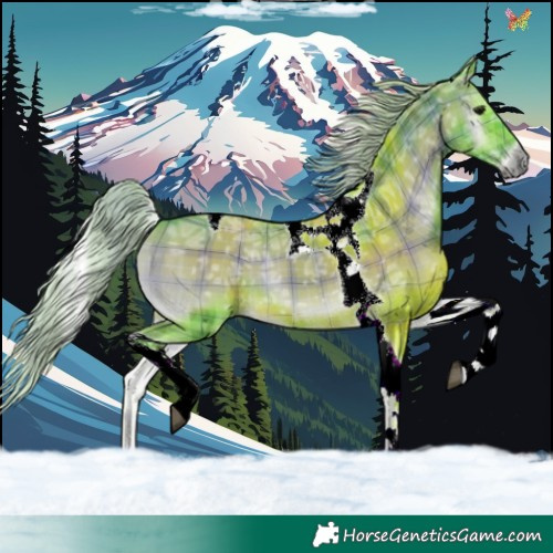 Horse Color:Watercolor Plaid  Silver Blue Onyx Ice Tobiano 