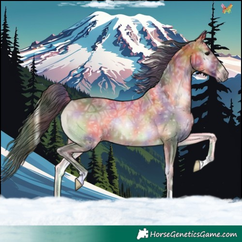Horse Color:Nacre Bay Ice Onyx 
