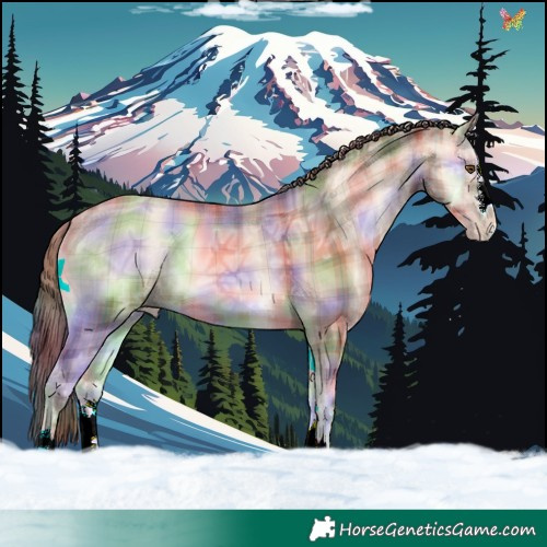 Horse Color:Nacre Plaid  Amber Champagne Ice Onyx 