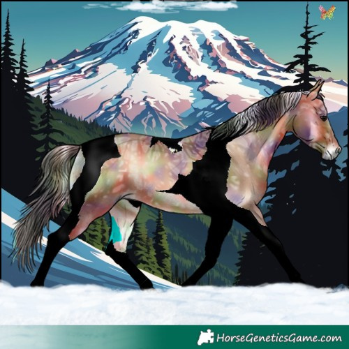 Horse Color:Nacre Bay Ice Onyx Tobiano 