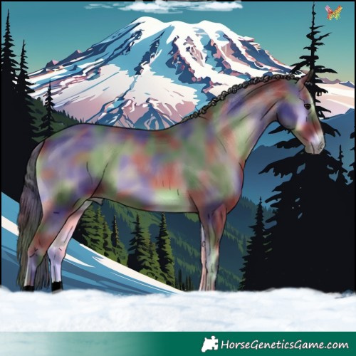 Horse Color:Nacre Blue Onyx 