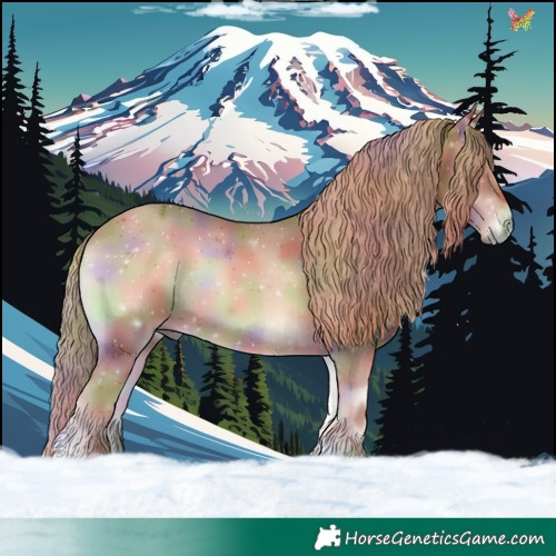 Horse Color:Nacre Red Onyx 