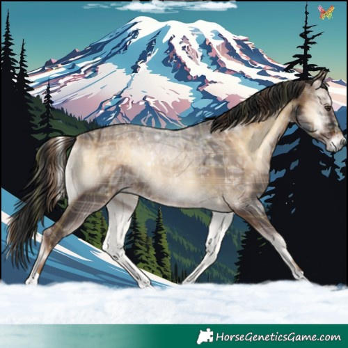 Horse Color:Plaid  Liver Red Onyx Ice 