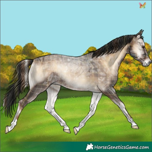 Horse Color:Plaid  Liver Red Onyx Ice 
