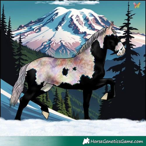 Horse Color:Nacre Silver Brown Ice Onyx Splash 