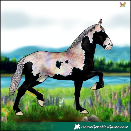 Horse Color:Nacre Silver Brown Ice Onyx Splash