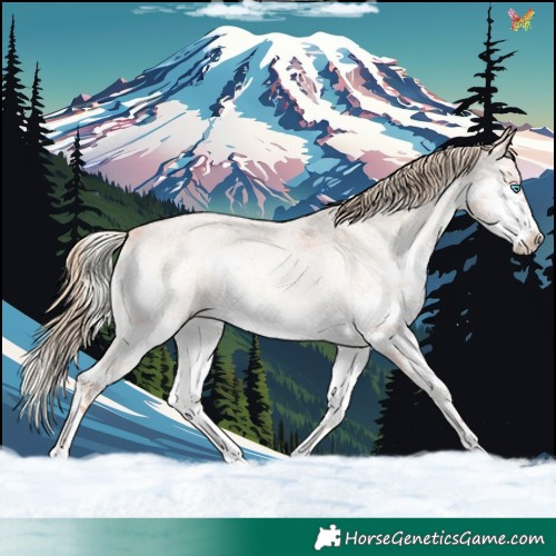 Horse Color:Plaid  Gold Champagne Roan Onyx Splash 