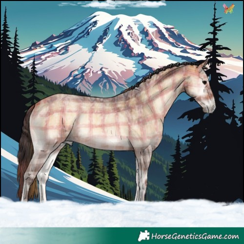 Horse Color:Plaid  Bay Ice Roan Onyx 