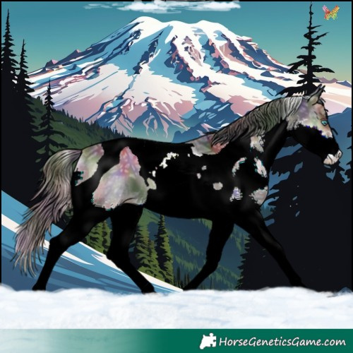 Horse Color:Nacre Blue Onyx Ice Splash Tobiano 