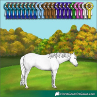 Horse Color:Gray Silver Grullo Tobiano Blanket