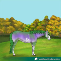 Horse Color:Watercolor Brown Onyx Sabino