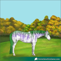 Horse Color:Watercolor Brown Onyx Sabino 