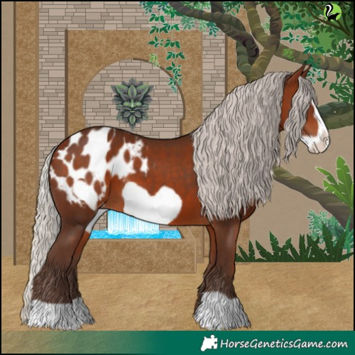 Horse Color:Silver Bay Frame Appaloosa 