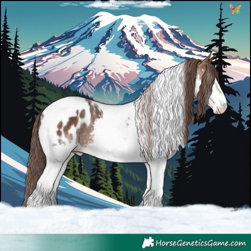 Horse Color:Bay Splash Tobiano Appaloosa 
