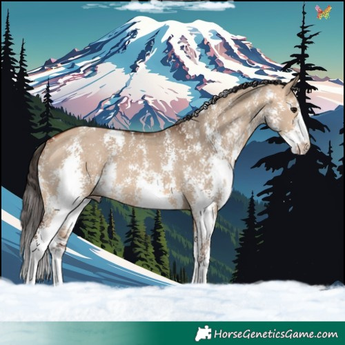 Horse Color:Bay Dun Sabino Rabicano 