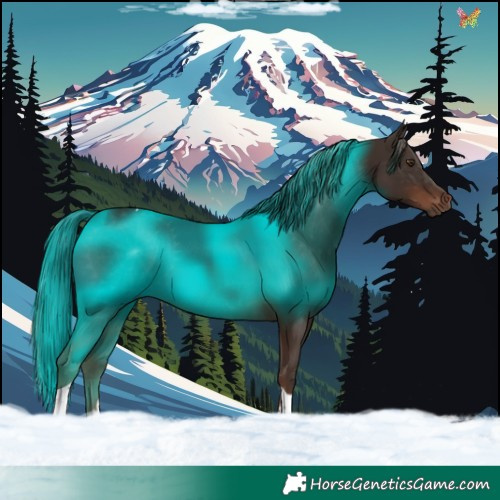 Horse Color:Liver Chestnut Tobiano 