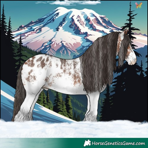 Horse Color:White Spotted Bay Blanket Rabicano 