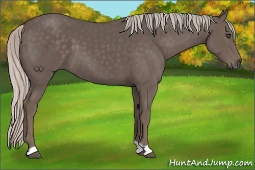 Horse Color:Silver Black 