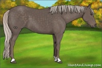 Horse Color:Silver Black 