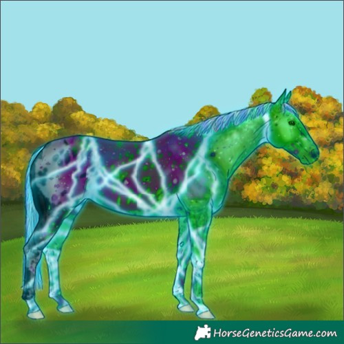 Horse Color:ERROR: UNKNOWN ANOMALY