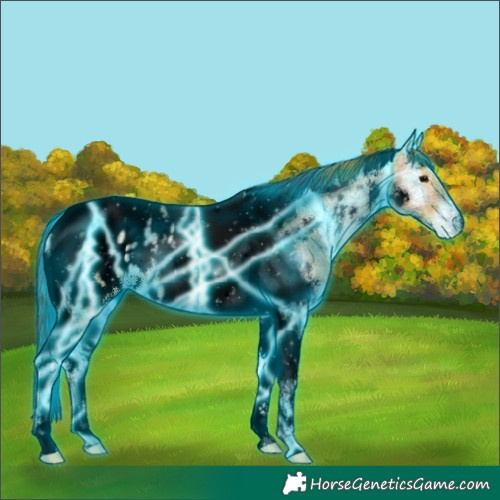 Horse Color:Void Thunderstruck Plaid  White Spotted Brown Ice Onyx Tobiano Near Leopard 