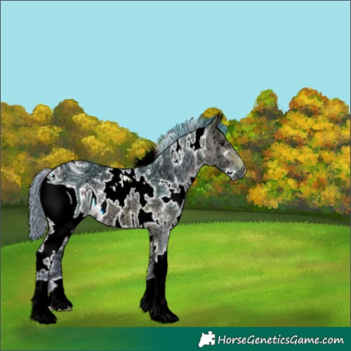 Horse Color:ERROR: UNKNOWN ANOMALY