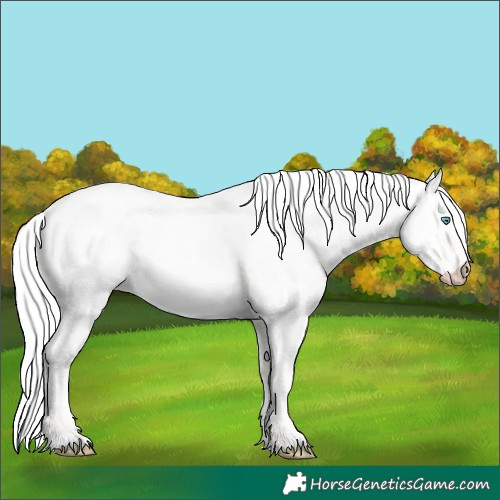 Horse Color:Silver Smoky Creme Roan Dun 
