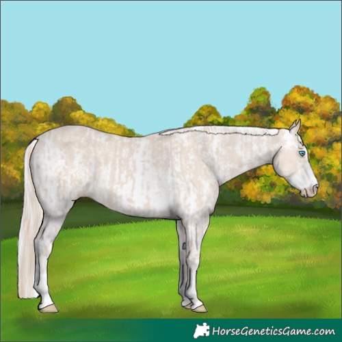 Horse Color:Smoky Creme and Silver Smoky Creme Sabino
