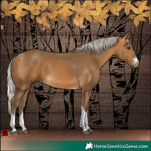 Horse Color:Silver Buckskin Sabino Tobiano