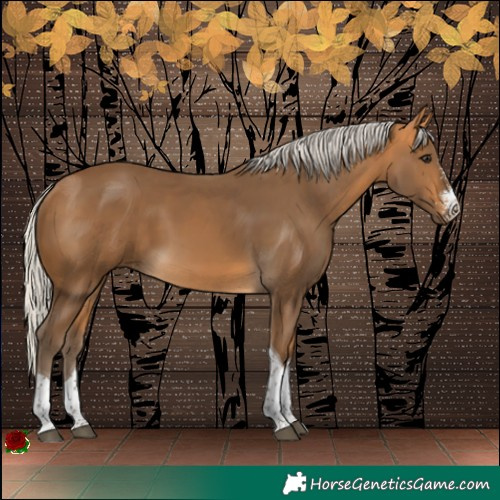 Horse Color:Silver Buckskin Sabino Tobiano