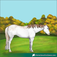 Horse Color:Bay Pearl Dun Mushroom Sabino Splash