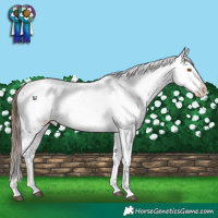 Horse Color:Brown Dun Sabino Varnish Rabicano 