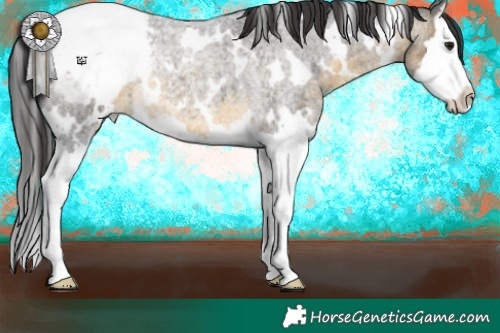 Horse Color:White Spotted Buckskin Roan Splash Appaloosa 