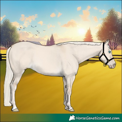 Horse Color:Cremello Dun 