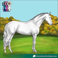Horse Color:Gray Silver Sable Champagne Tobiano Near Leopard Rabicano 