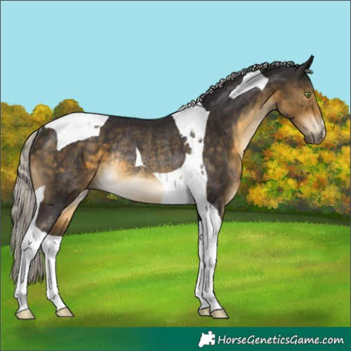 Horse Color:Silver Buckskin Tobiano Rabicano 