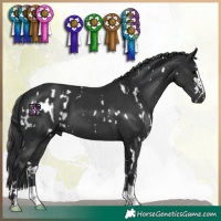 Horse Color:White Spotted Black  and Black 