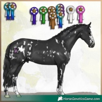 Horse Color:White Spotted Black  and Black 