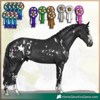 Horse Color:White Spotted Black  and Black 