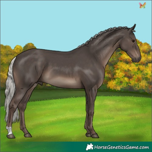 Horse Color:Silver Black 