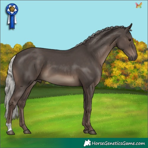 Horse Color:Silver Black